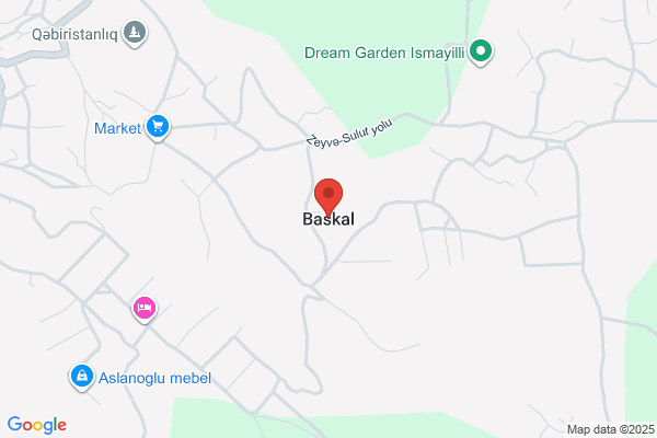 Basgall Stan