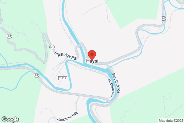 Haysi Town Florist