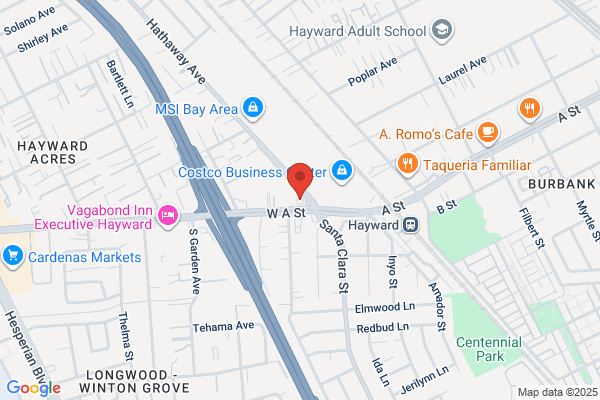Hayward Tire Pros
