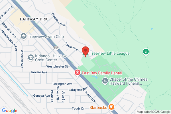 Treeview Little League Inc