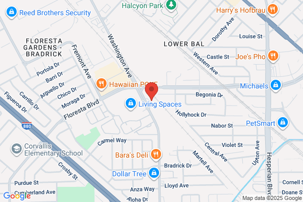 LoanMart Title Loans at Ace Cash Express - Closed