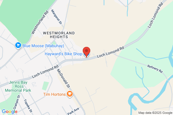 Hayward Cycles