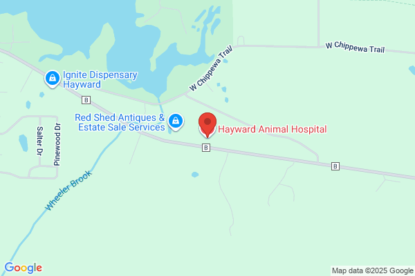 Hayward Animal Hospital