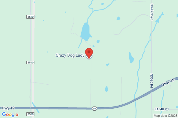 Pet Krazy