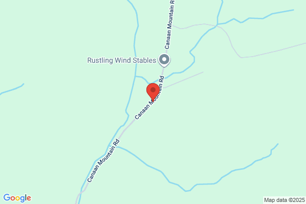 Rustling Winds, Clinic