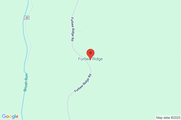 Furbee Bridget D