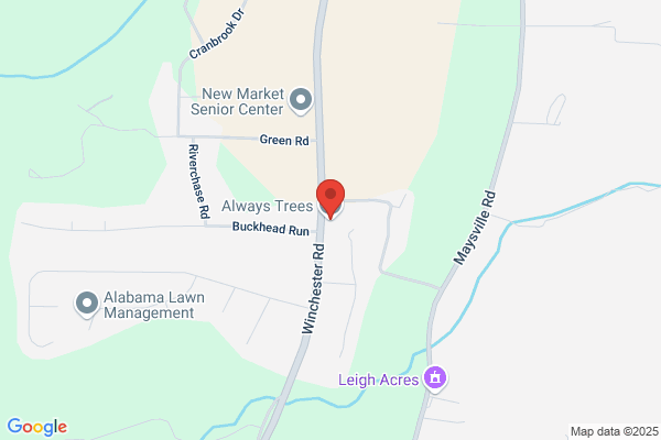 Wayne Terrys Stump Removal & Tree Service