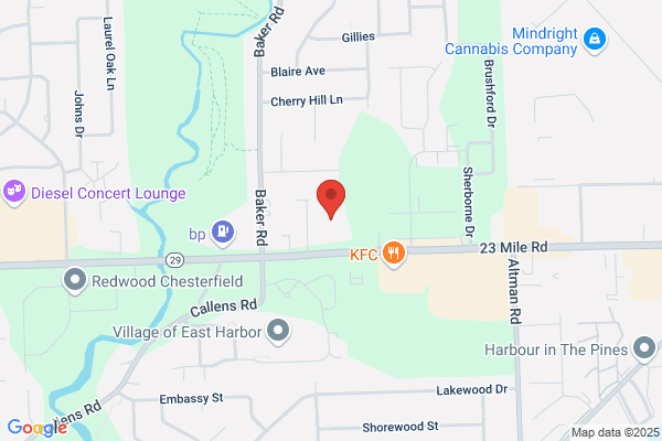 Levine Ellsworth DDS
