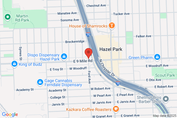Eight Mile Dequindre Amoco