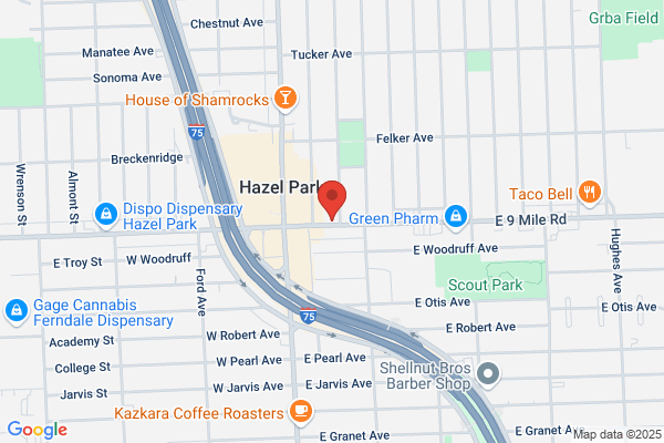 Freedom Bail Bonds Agency Inc