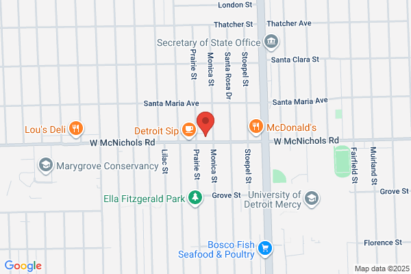 Detroit Pizza Bar