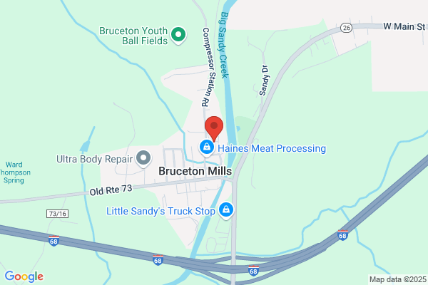 Ambulances, Bruceton