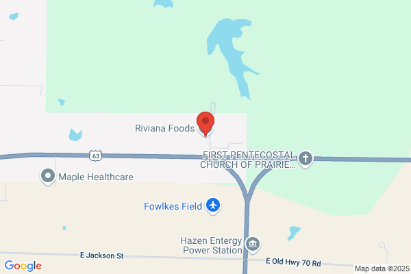 Riviana Foods Inc