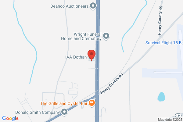 Insurance Auto Auctions Inc