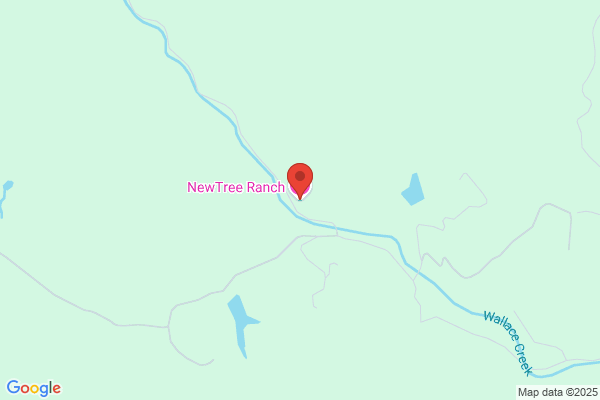 Green Tree Healing Center