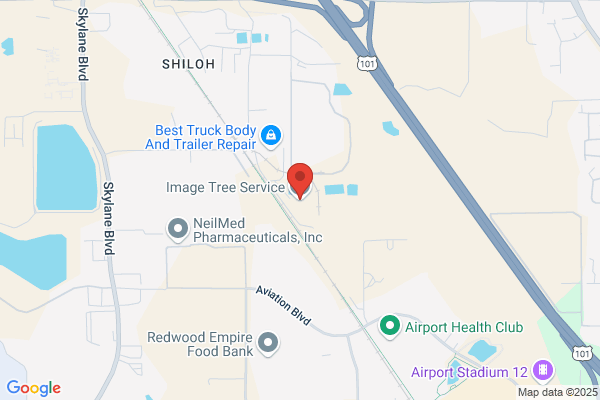 Image Tree Service