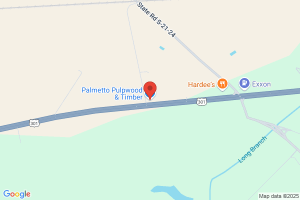 Palmetto Land & Timber Co Inc