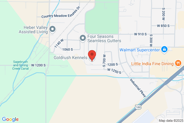 Goldrush Kennels