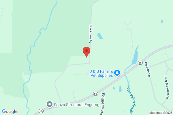 Sylvias Sweepers