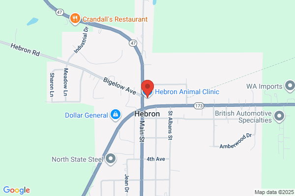 Hebron Animal Clinic