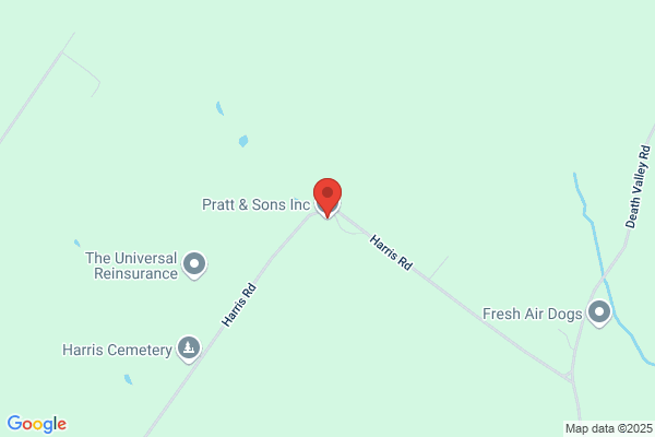 Pratt & Sons Inc