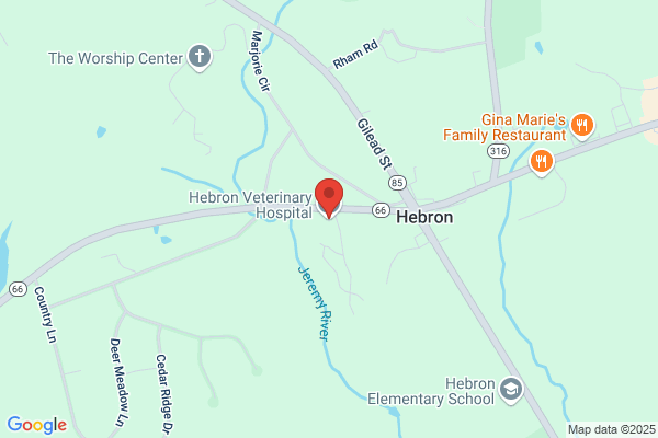Hebron Veterinary Hospital