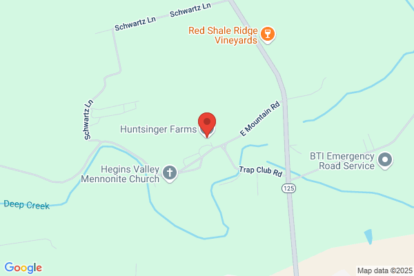 Huntsinger Farms Inc