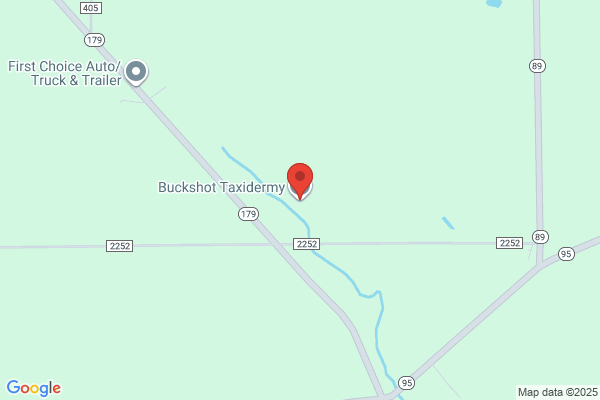 Buckshot Taxidermy