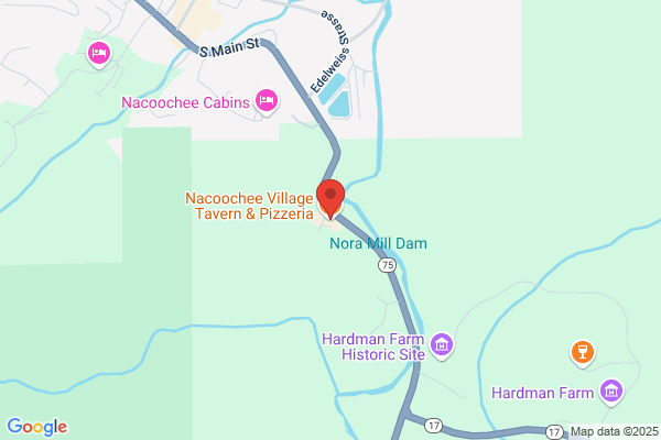 Nacoochee Village Tavern & Pizzeria