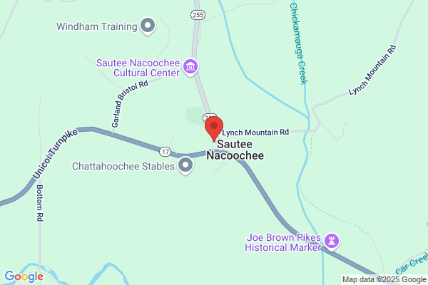 North Georgia Mountain Realty