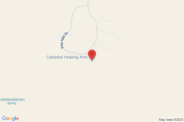 Chinese Healing Arts