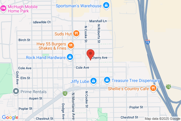 Alpine Analytical Inc