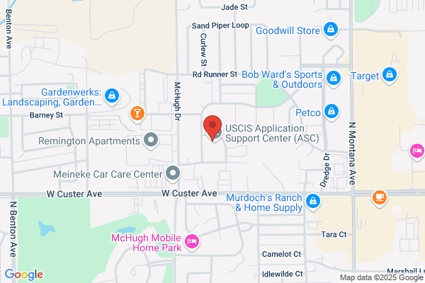 Fischer Physical Therapy