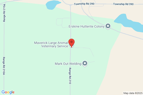 Capital Large Animal Veterinary Service