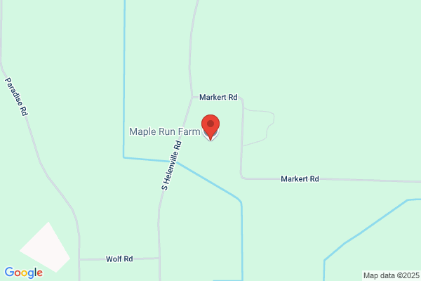 Maple Run Farm Llc