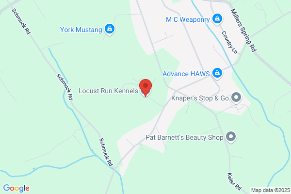 Locust Run Kennels