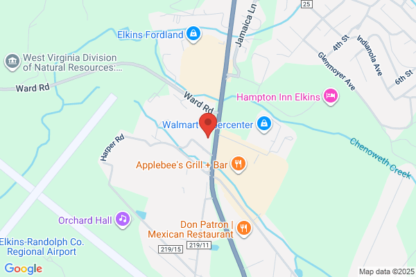 Advance Auto Parts
