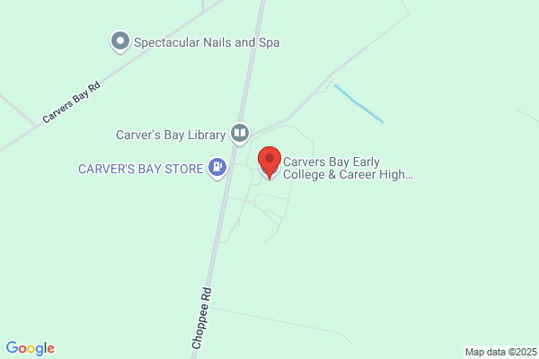 Carvers Bay High