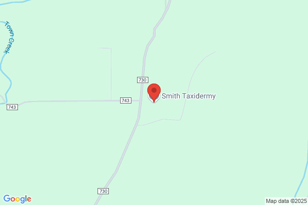 Smith Taxidermy