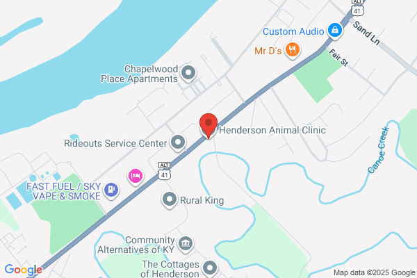 Henderson Animal Clinic