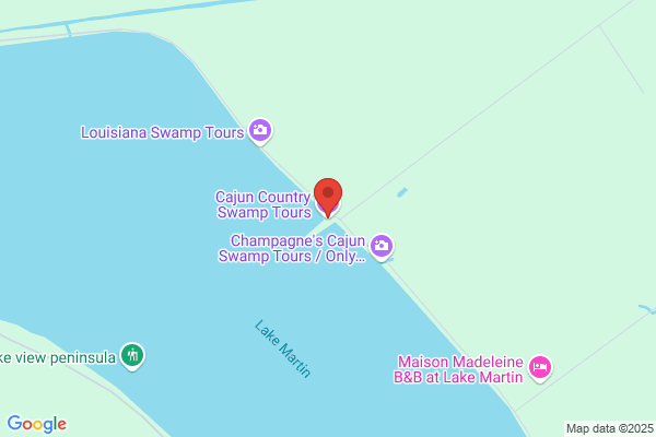 Cajun Country Swamp Tours