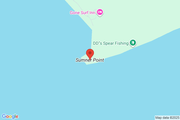 Sumner Point