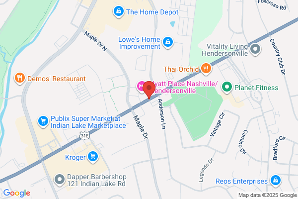 Hendersonville Tree Service Experts
