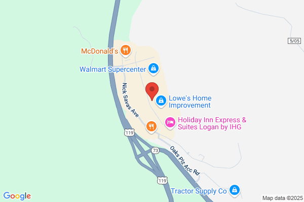 Advance Auto Parts