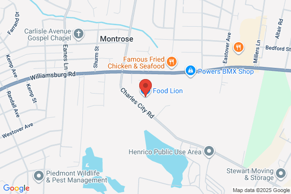 Food Lion