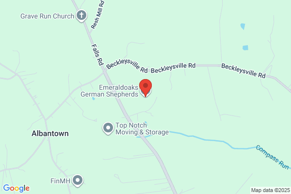 Cold Harbor German Shepherds