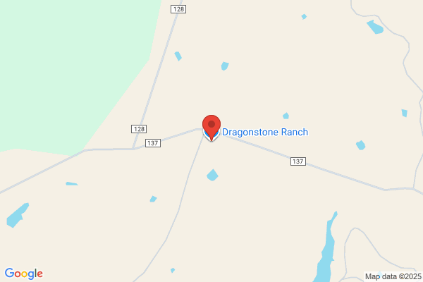 Joss Ranch Bearded Dragons