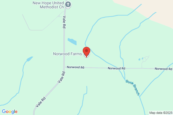 Norwood Construction