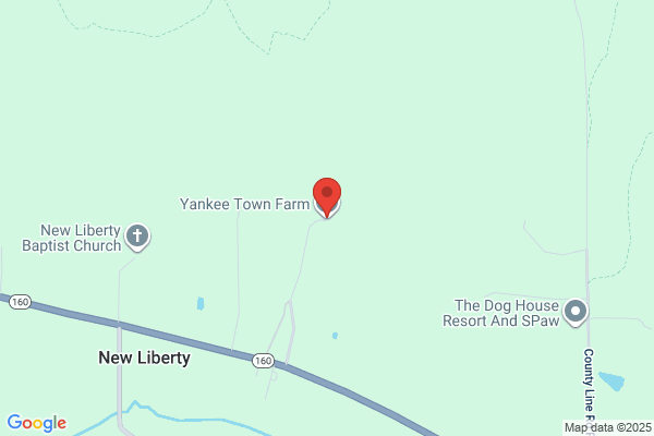 Yankee Town Farm