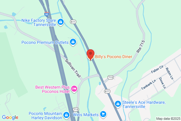 Diner At Tannersville the